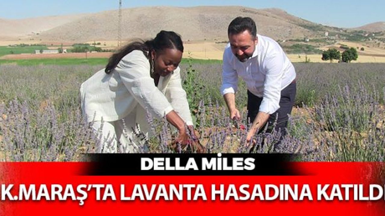 Della Miles, Kahramanmaraş'ta Lavanta Hasadına Katıldı