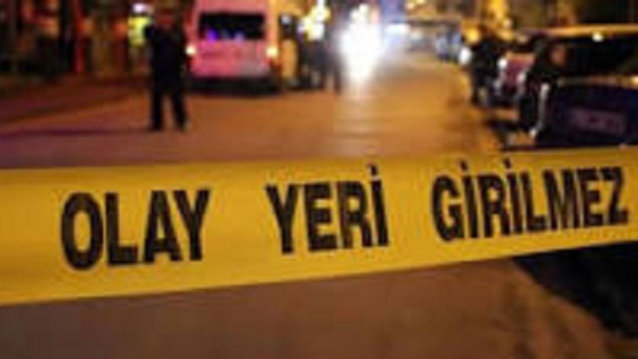 Duman Çıkan Otomobilden İnen Aileden 2 kişi, Otomobil Çarpması Sonucu Öldü