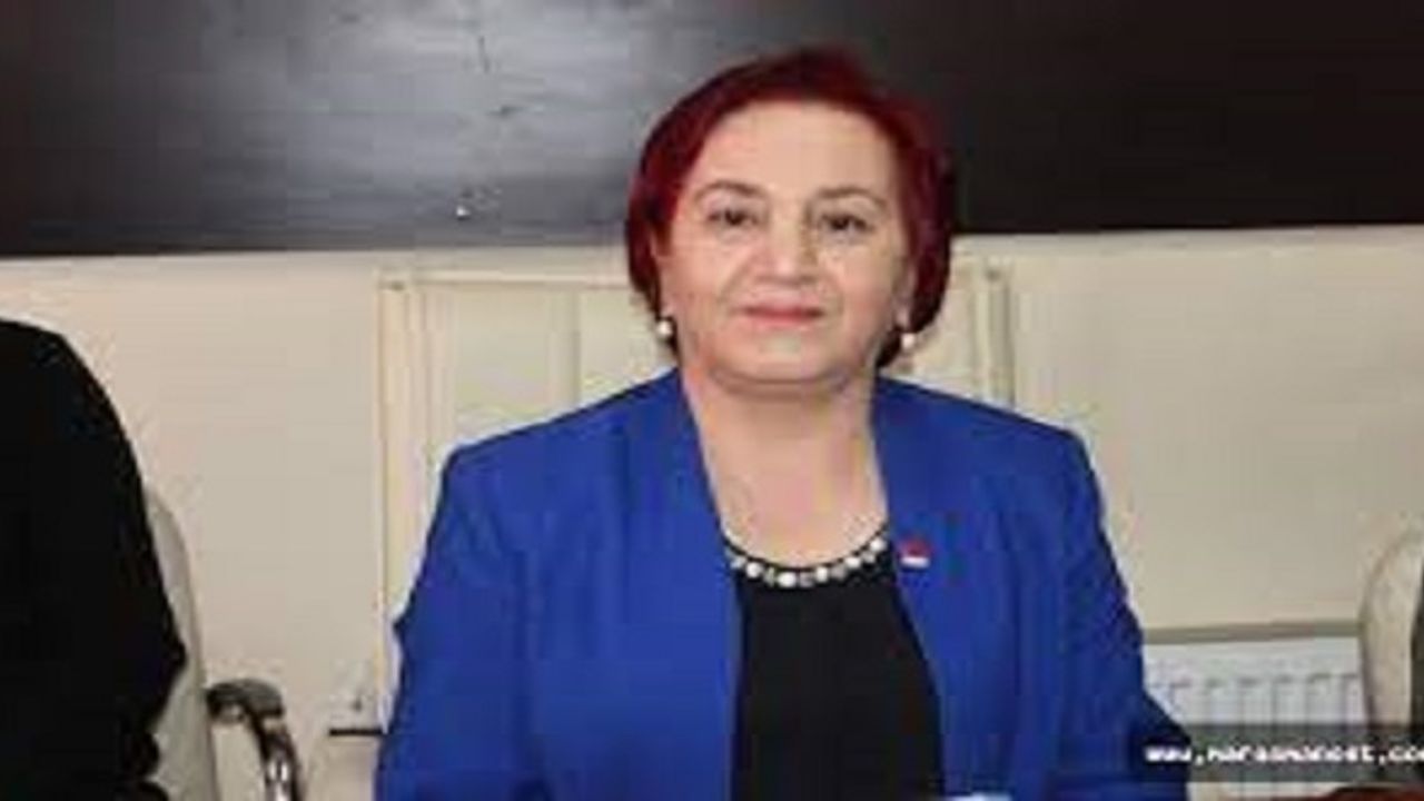 Naile İşlek: Ekonomik Krizin Sebebi Sizsiniz