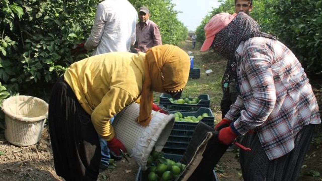 Tarım enflasyonunda yeni rekor kırıldı!