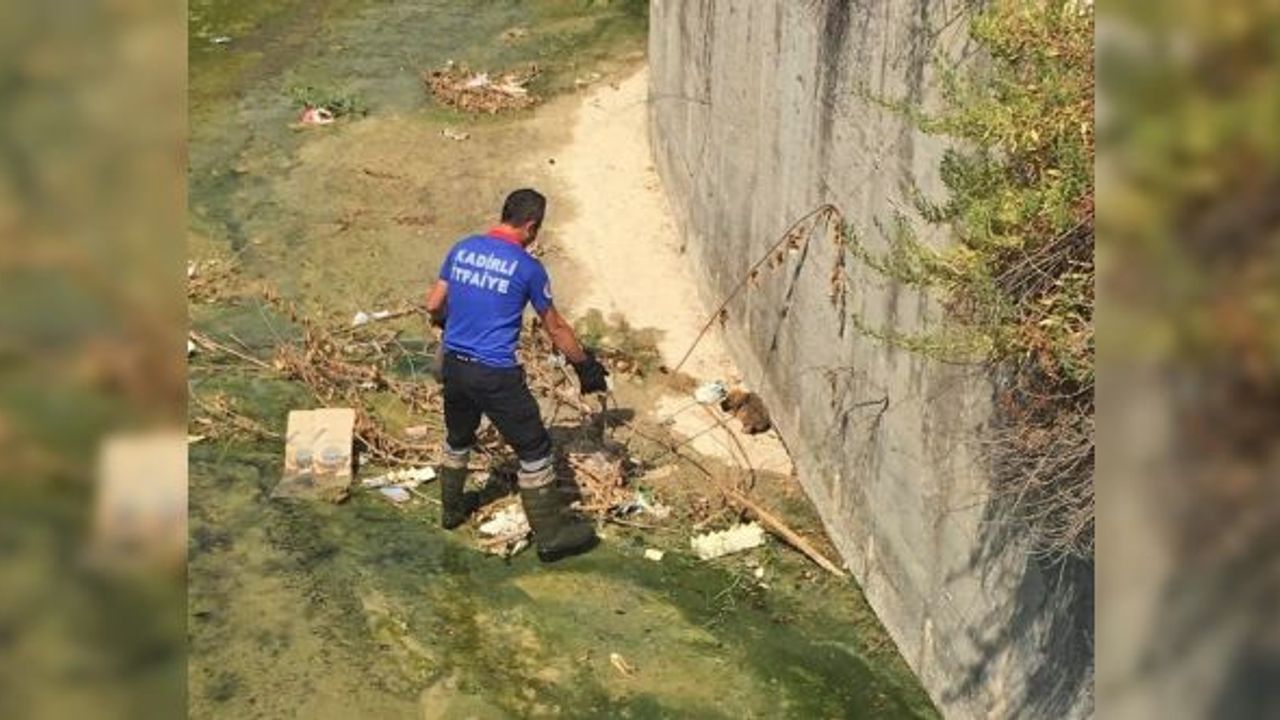 Dereye Düşen Minik Köpeğin Yardımına İtfaiye Koştu