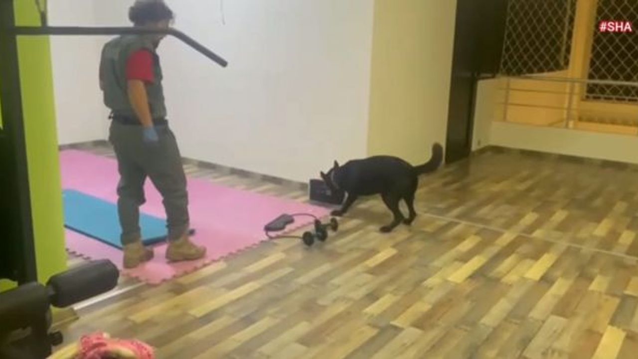 Kahramanmaraş’ta spor salonunda uyuşturucu operasyonu!