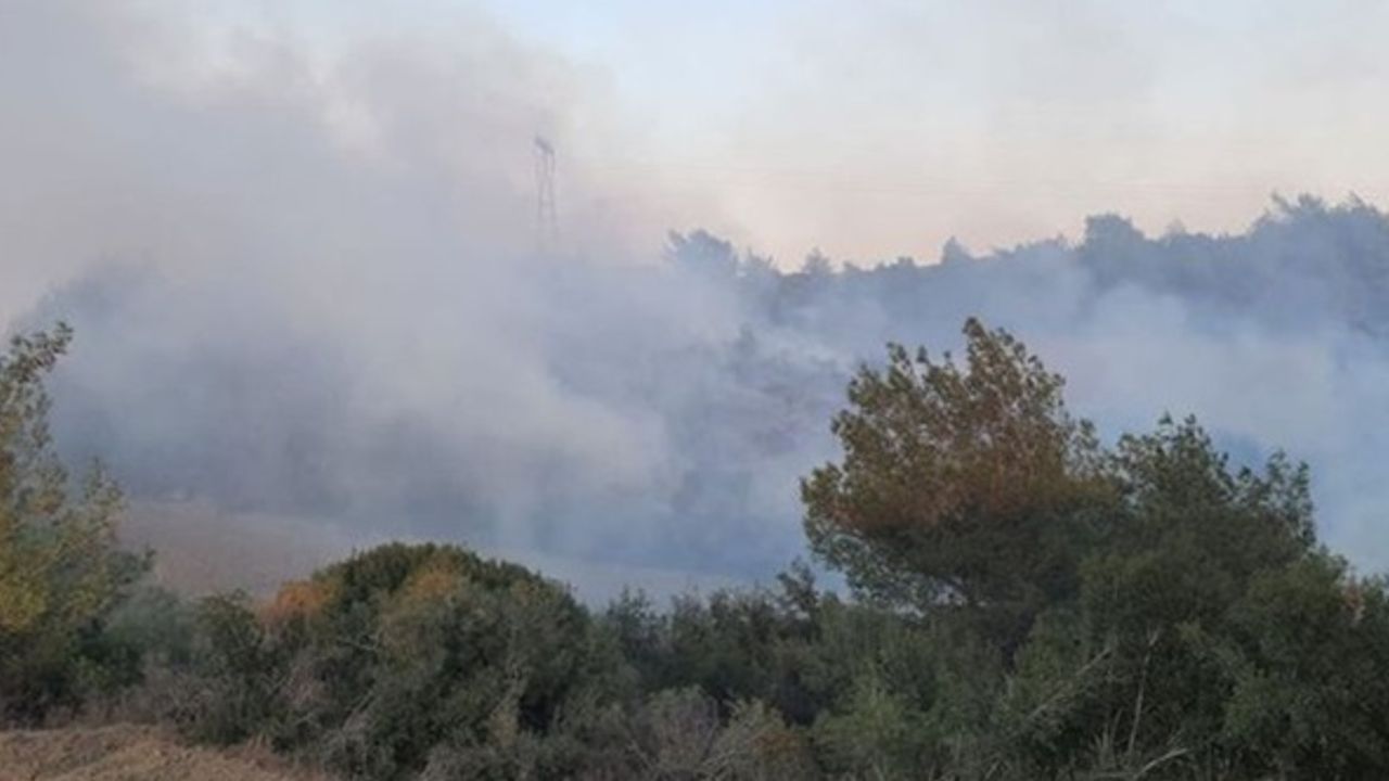 Ormanlık alanda çıkan yangın kontrol altına alındı!