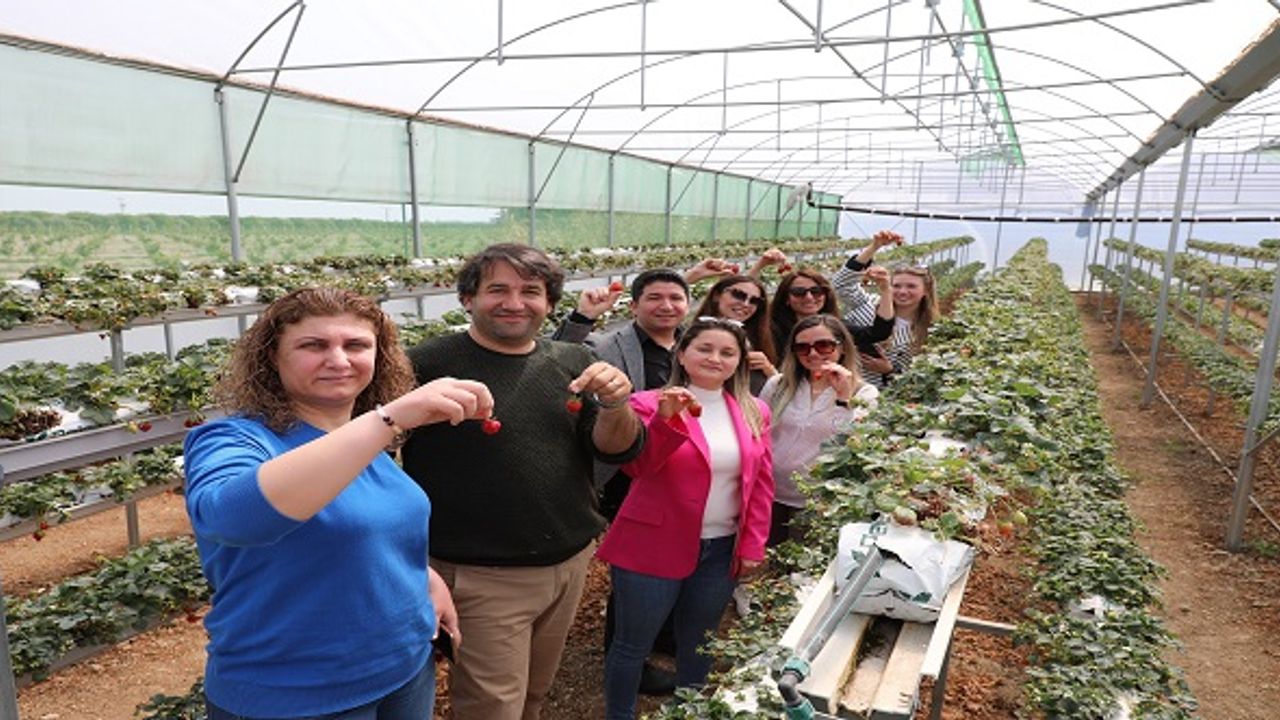 Çiftçi Ve Üreticilere Yönelik Ücretsiz Eğitim Kursları Başlıyor