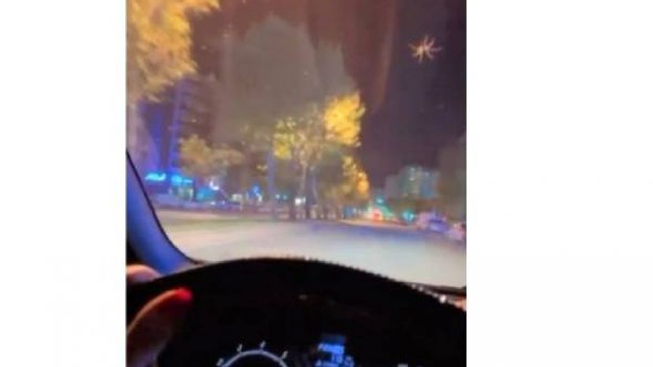 Kahramanmaraş’ta sürücünün örümcek ile imtihanı!
