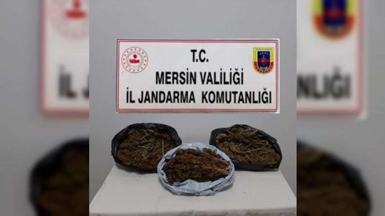 Mersin'de 10 kilo 248 gram skunk ele geçirildi
