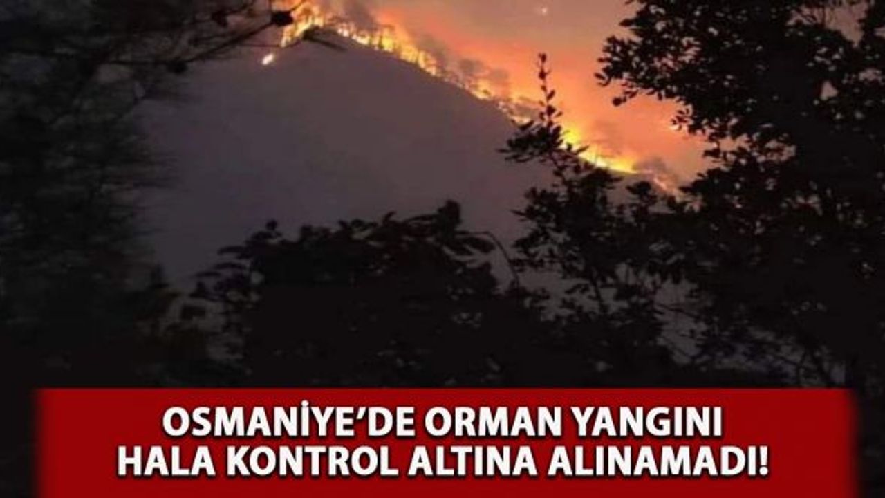 Osmaniye'de 3 gün önce başlayan yangın söndürme çalışmaları sürüyor!