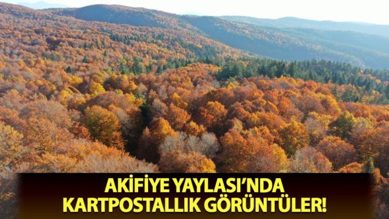 Akifiye Yaylası'nda kartpostallık görüntüler!