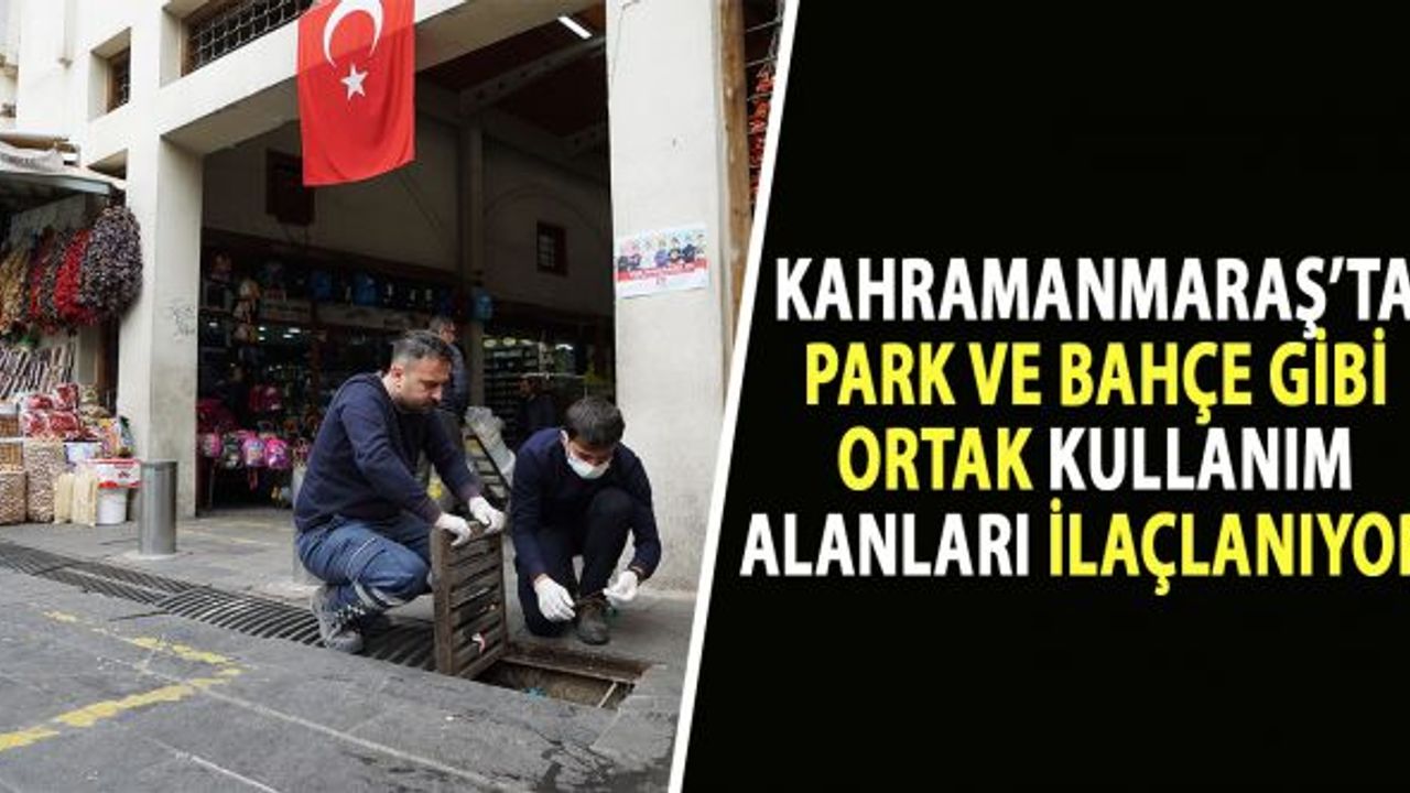 Kahramanmaraş'ta park ve bahçe gibi ortak kullanım alanları ilaçlanıyor!