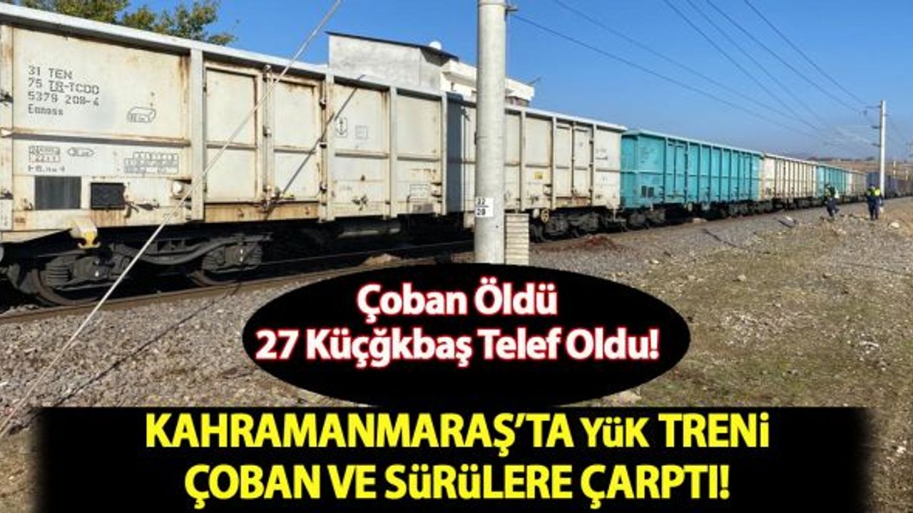 Kahramanmaraş'ta yük treninin çarptığı çoban öldü!