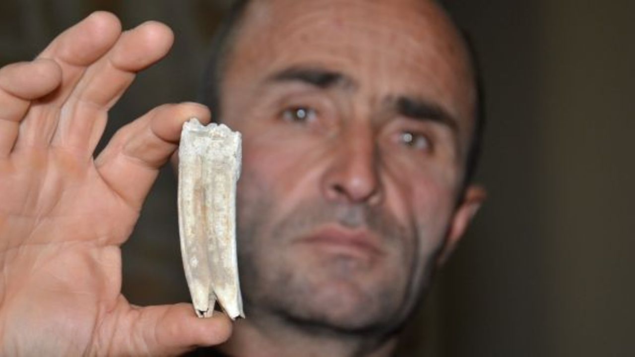 Kahramanmaraş’ta 16 milyon yıllık at dişi bulundu!