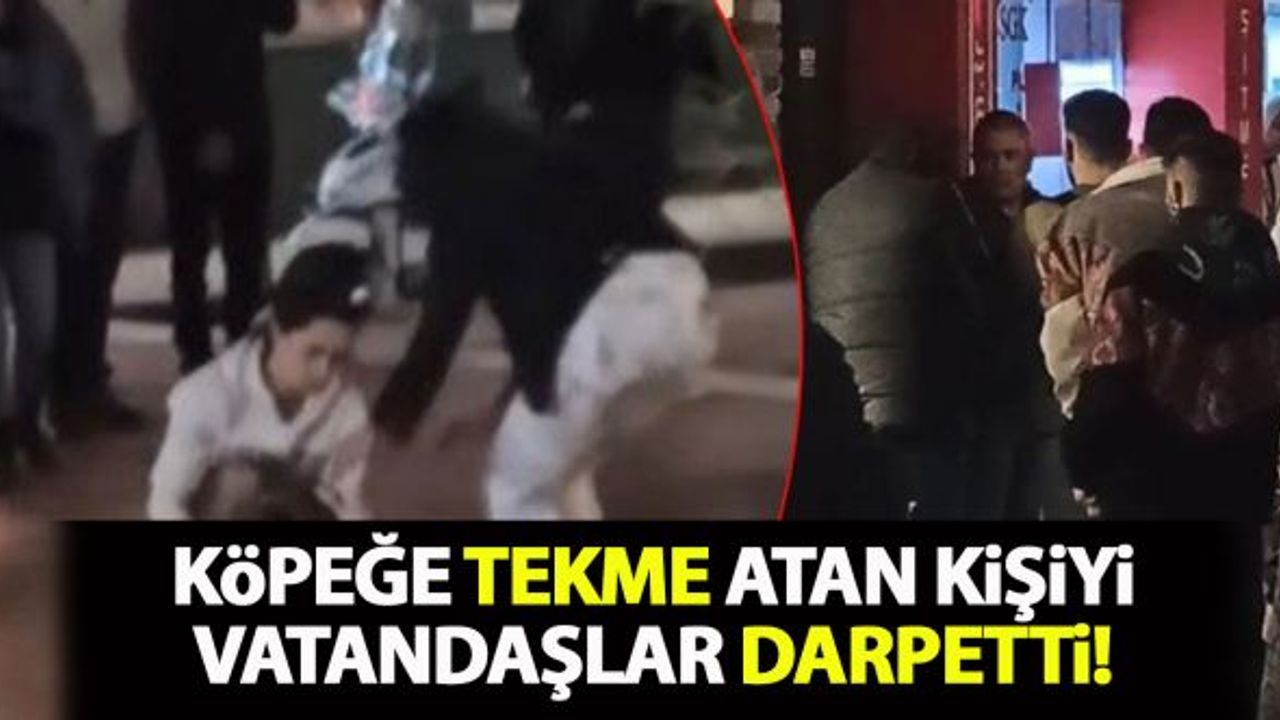 Köpeğe tekme atan kişiyi vatandaşlar darpetti!