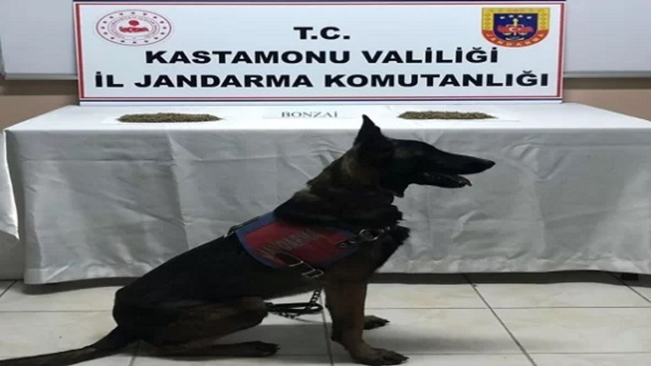 Sarımsak bulunan minibüste uyuşturucu ele geçirildi