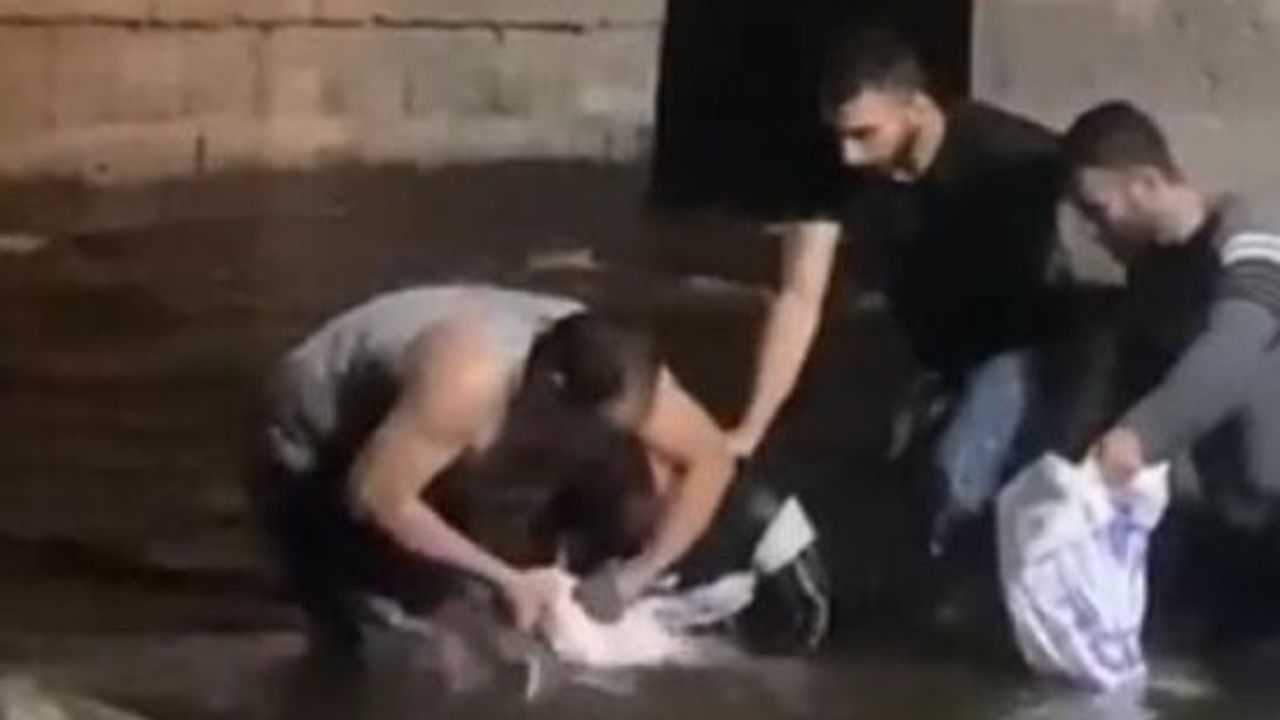 Ceyhan Nehri’nde ‘Çevre’ adına düşündürücü görüntüler!
