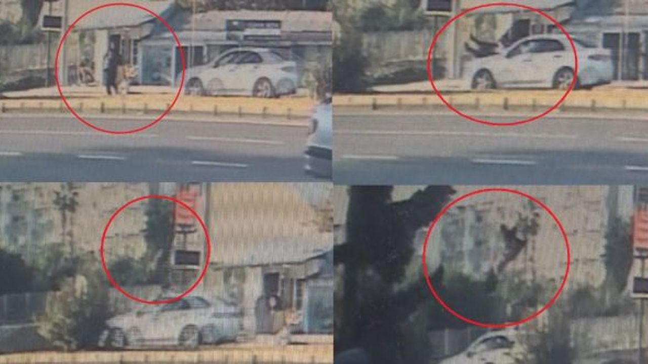 Otomobilin çarptığı yaya metrelerce havaya uçtu!
