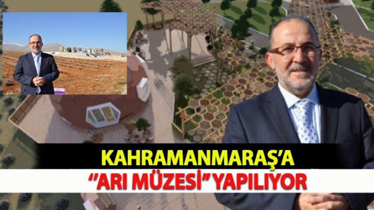 Kahramanmaraş'a "Arı Müzesi" Yapılıyor