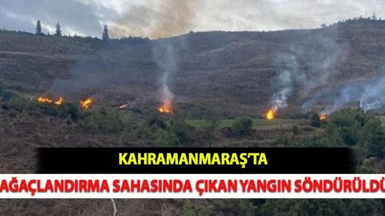 Kahramanmaraş'ta Ağaçlandırma Sahasında Çıkan Yangın Söndürüldü