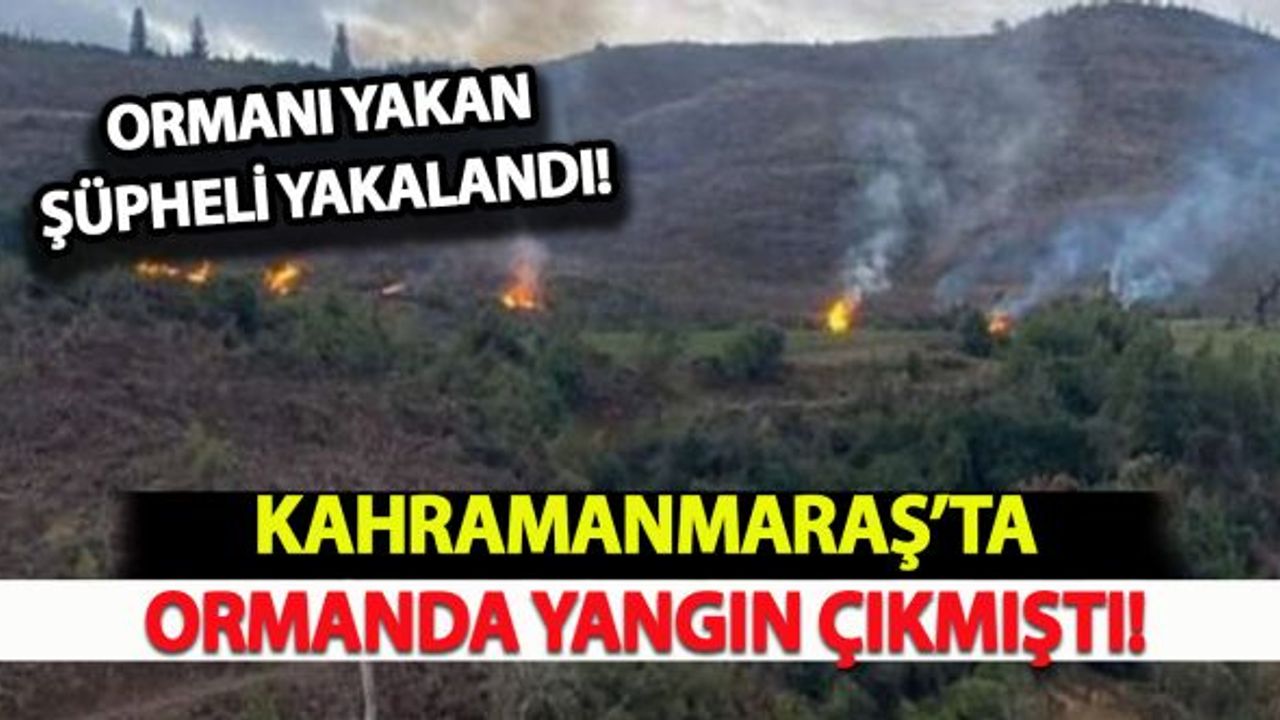 Kahramanmaraş'ta ormanı ateşe veren şüpheli yakalandı!