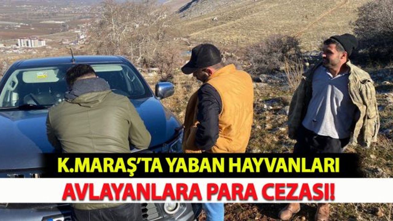 Kahramanmaraş'ta  yaban hayvanları avlayanlara para cezası!