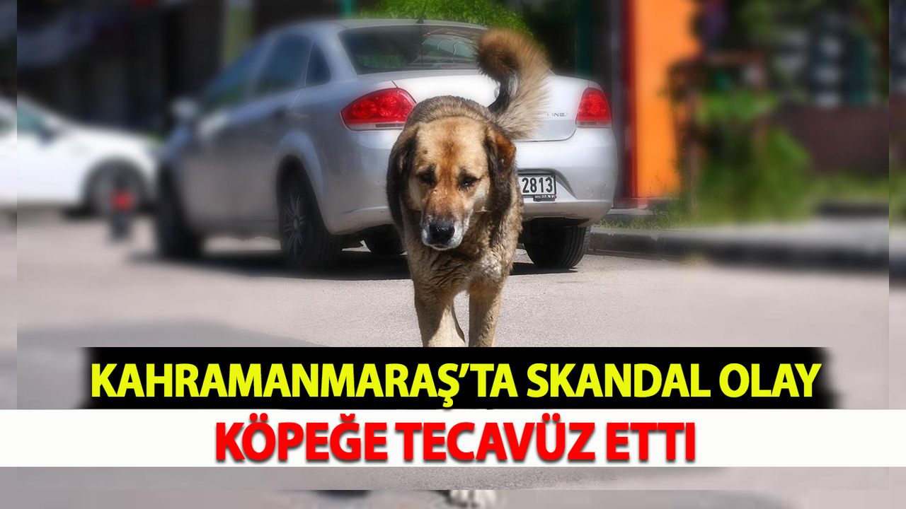 Kahramanmaraş’ta Skandal Olay: Köpeğe Tecavüz Etti
