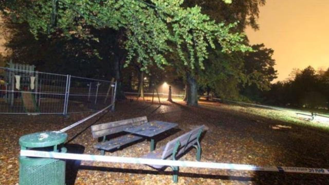 5 Erkek 1 Kadına Çocuk Parkında Tecavüz Etti!