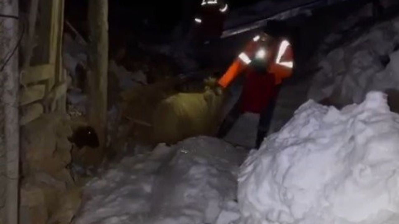Enkaz altından 15 küçükbaş hayvan kurtarıldı