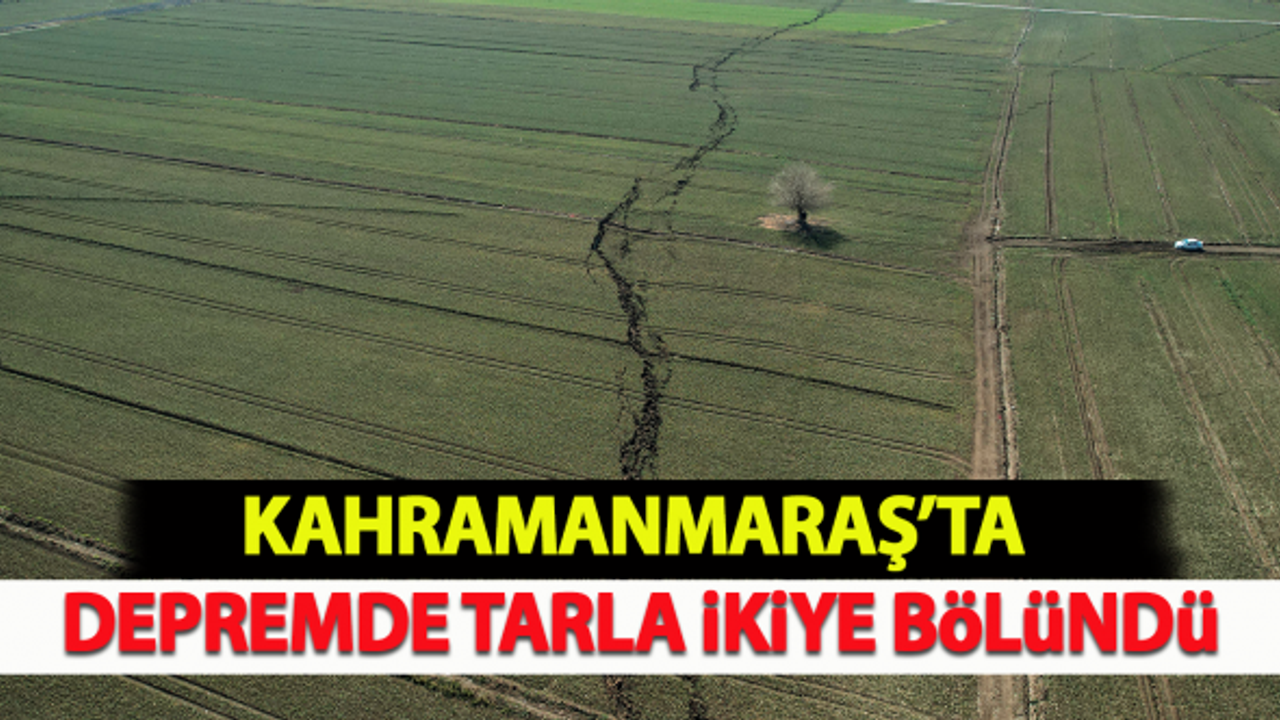 Kahramanmaraş'ta depremde tarla ikiye bölündü!