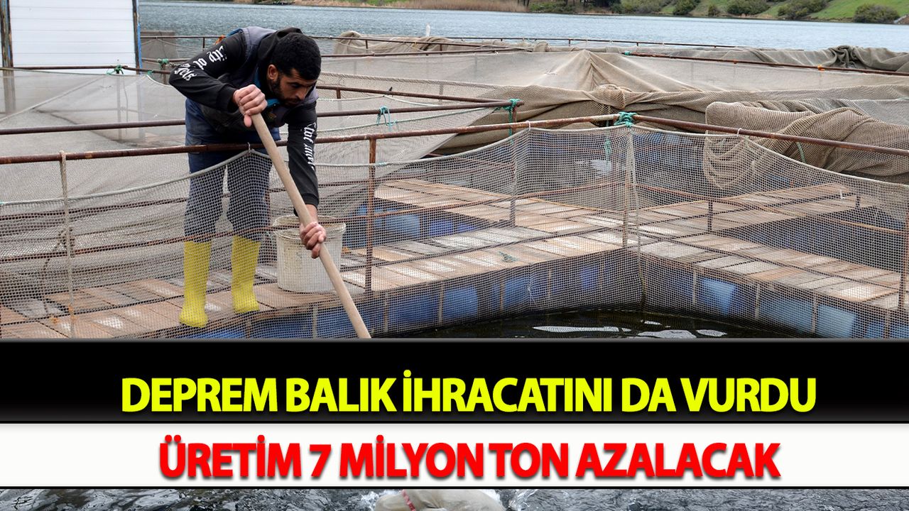 Deprem balık ihracatını da vurdu: Üretim 7 milyon ton azalacak
