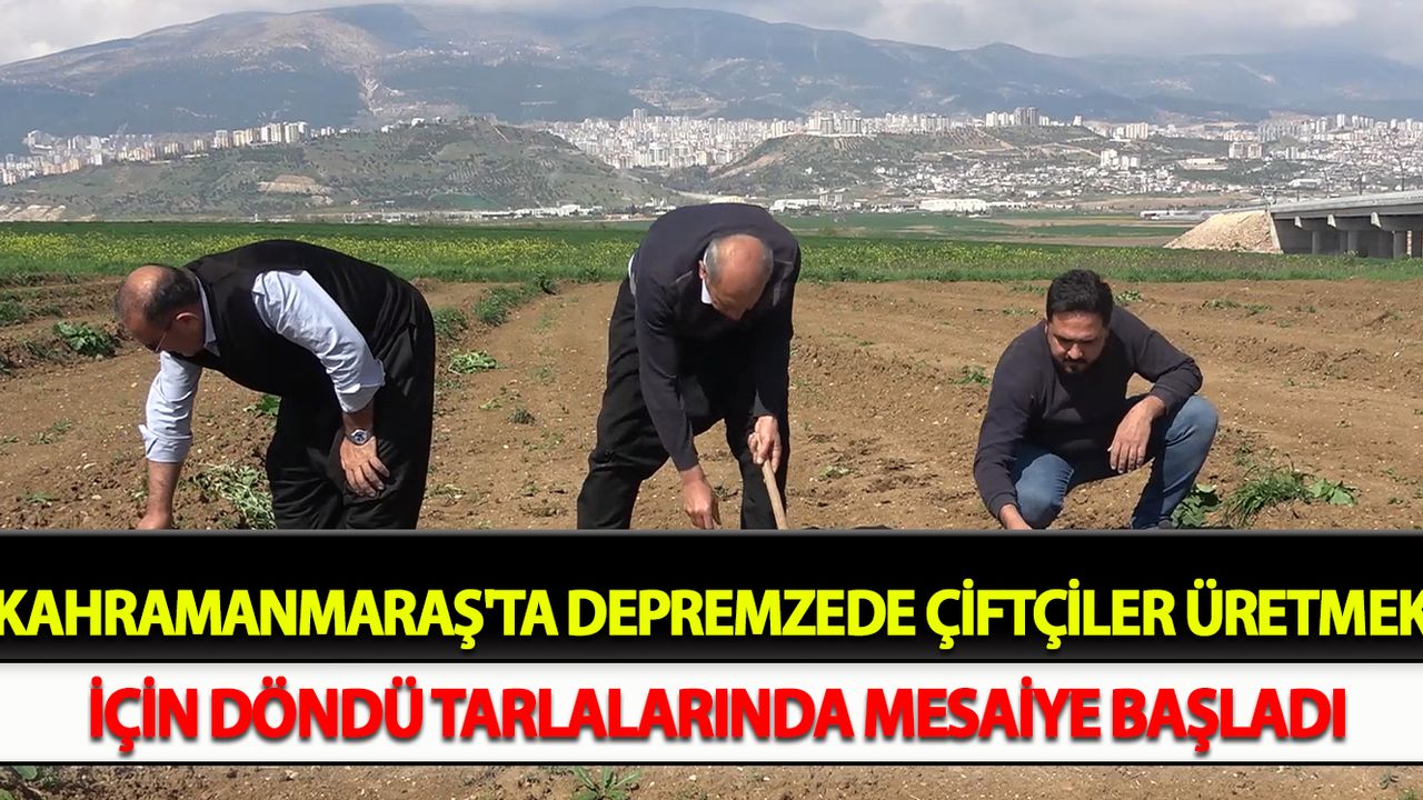 Depremzede çiftçiler üretmek için döndü, tarlalarında mesaiye başladı
