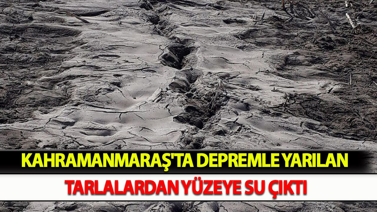 Kahramanmaraş'ta Depremle yarılan tarlalardan yüzeye su çıktı