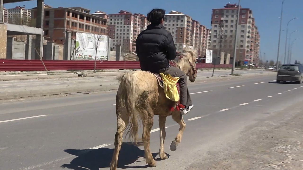 Depremzede genç, market alışverişine at ile gidiyor