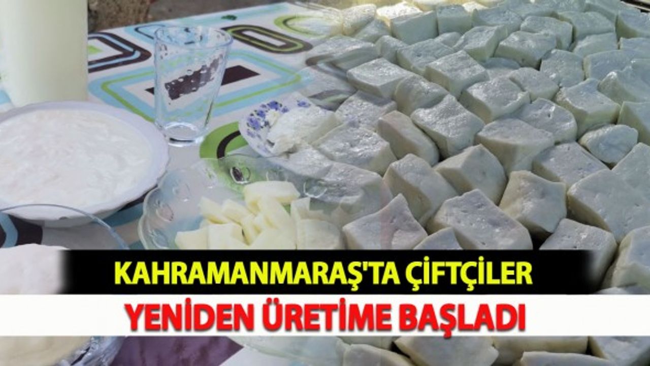 Kahramanmaraş'ta Çiftçiler Yeniden Üretime Başladı