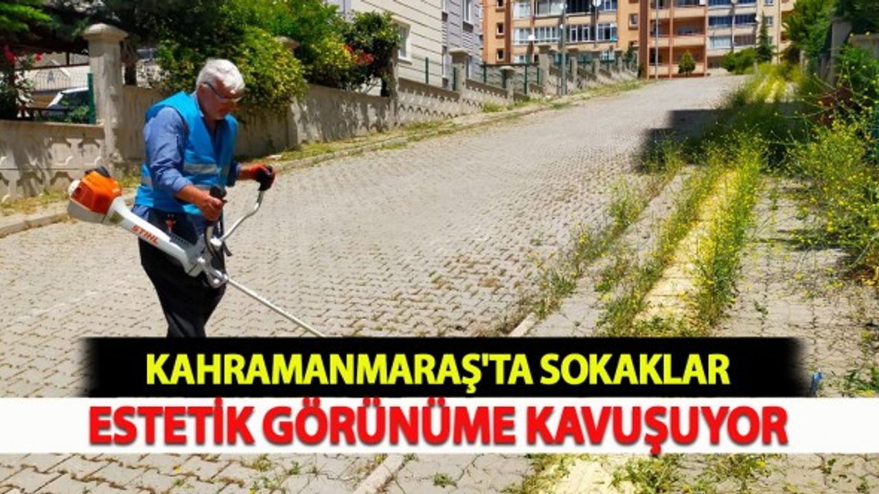 Kahramanmaraş'ta Sokaklar Estetik Görünüme Kavuşuyor