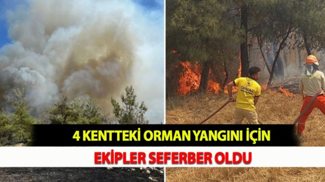 Birini Söndürüyorlar Diğeri Başlıyor! 4 Kentteki Orman Yangını İçin Ekipler Seferber Oldu