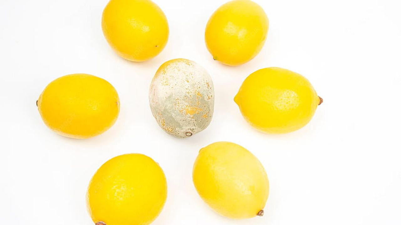 Limonların Aylarca Bozulmaması İçin Bunu Yapın