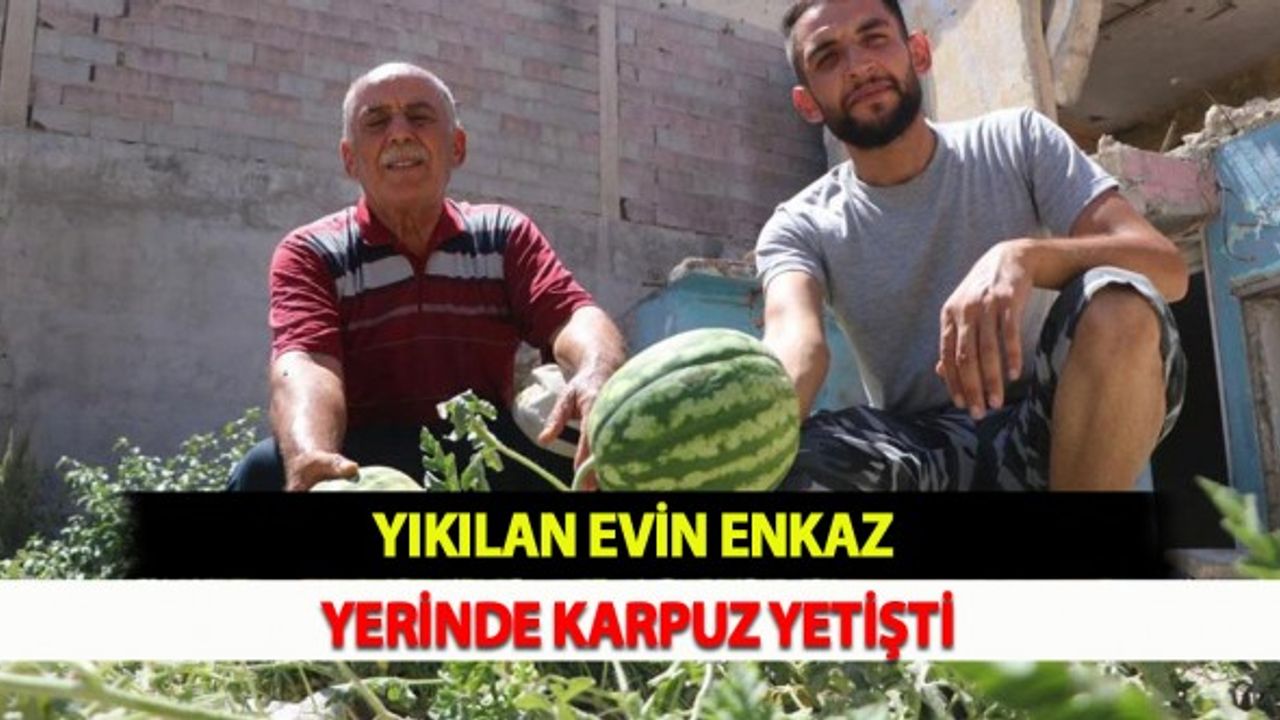 Yıkılan Evin Enkaz Yerinde Karpuz Yetişti