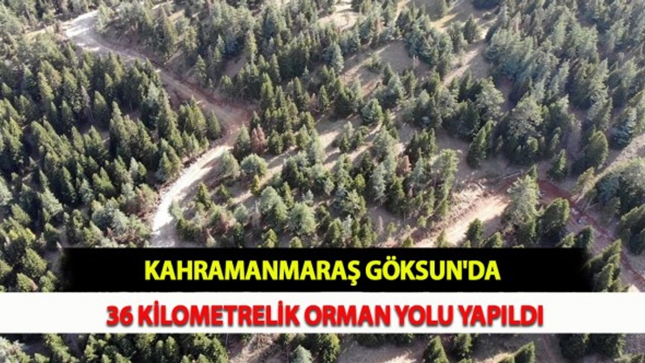 Kahramanmaraş Göksun'da 36 Kilometrelik Orman Yolu Yapıldı