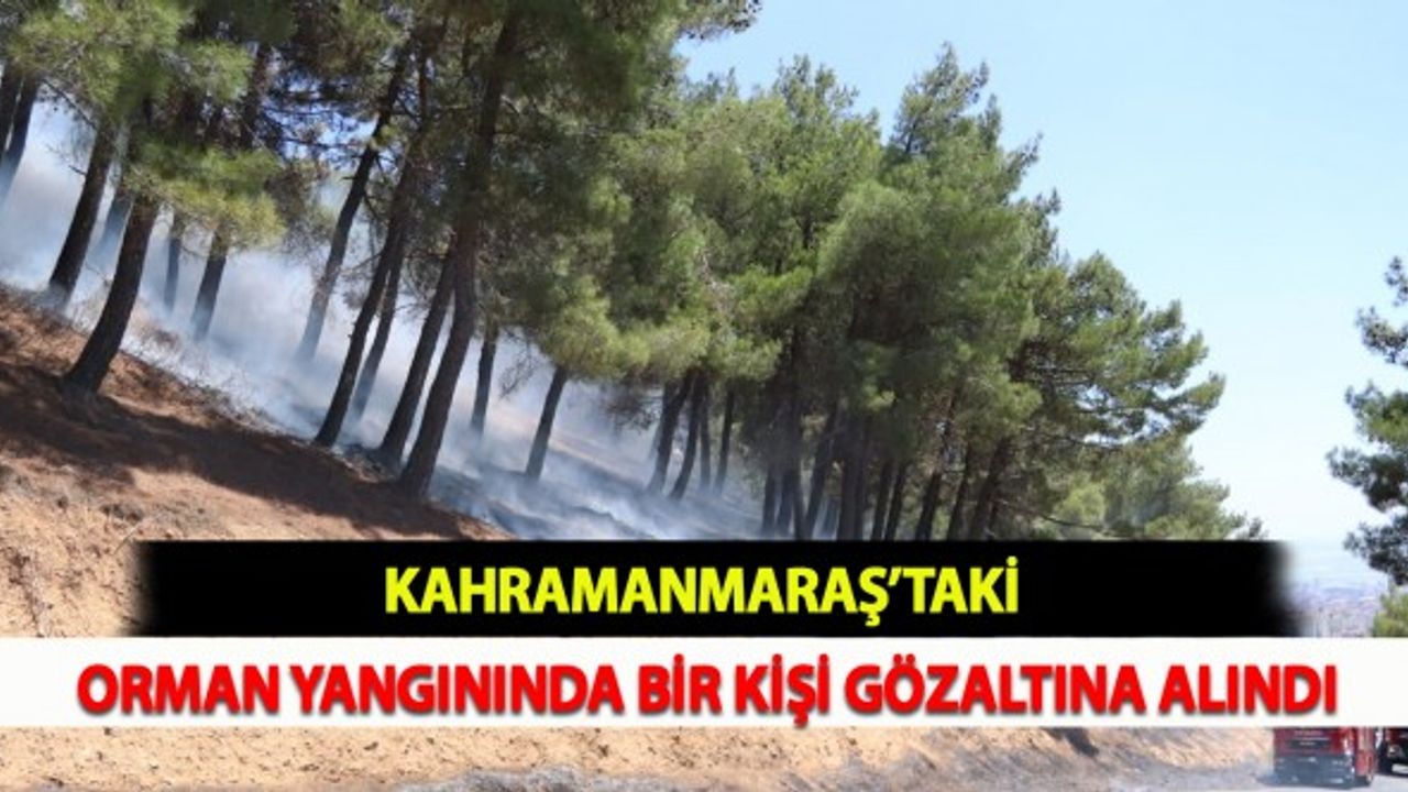 Kahramanmaraş’taki Orman Yangınında Bir Kişi Gözaltına Alındı