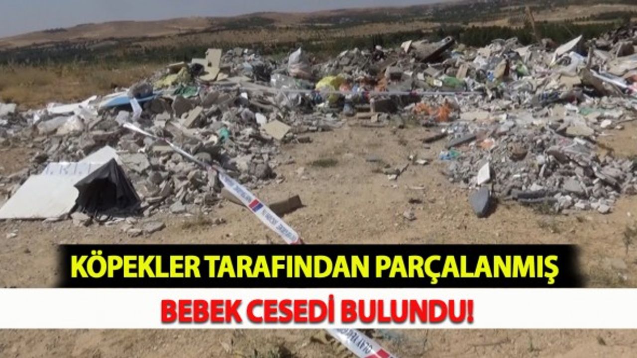 Köpekler Tarafından Parçalanmış Bebek Cesedi Bulundu!