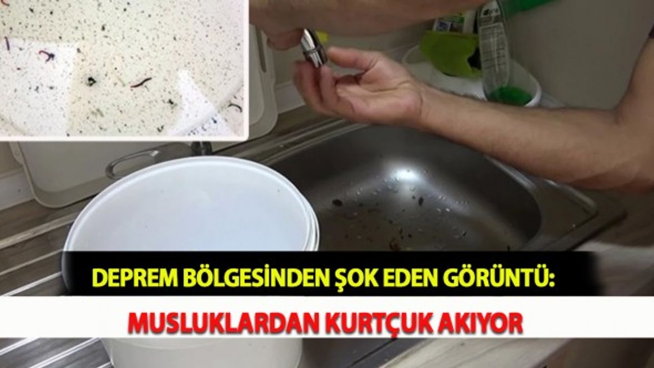 Deprem Bölgesinden Şok Eden Görüntü: Musluklardan Kurtçuk Akıyor