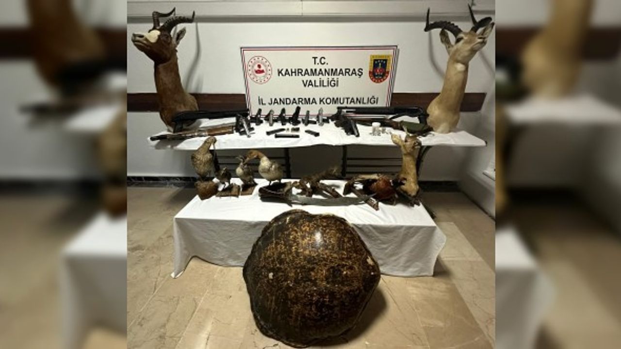 Kahramanmaraş'ta Baskın Yapılan Evden Cephanelik Çıktı