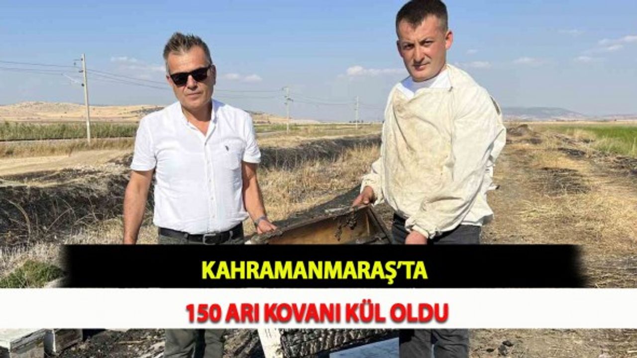 Kahramanmaraş’ta 150 Arı Kovanı Kül Oldu