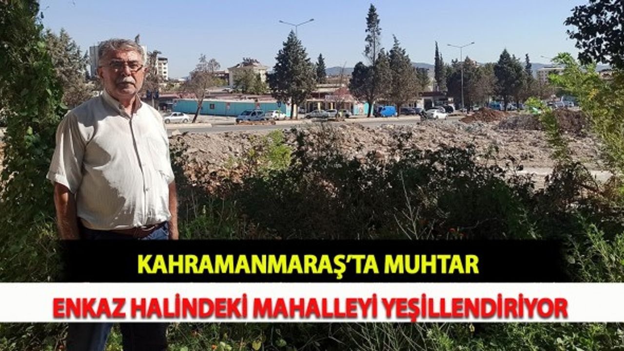 Kahramanmaraş’ta Muhtar Enkaz Halindeki Mahalleyi Yeşillendiriyor