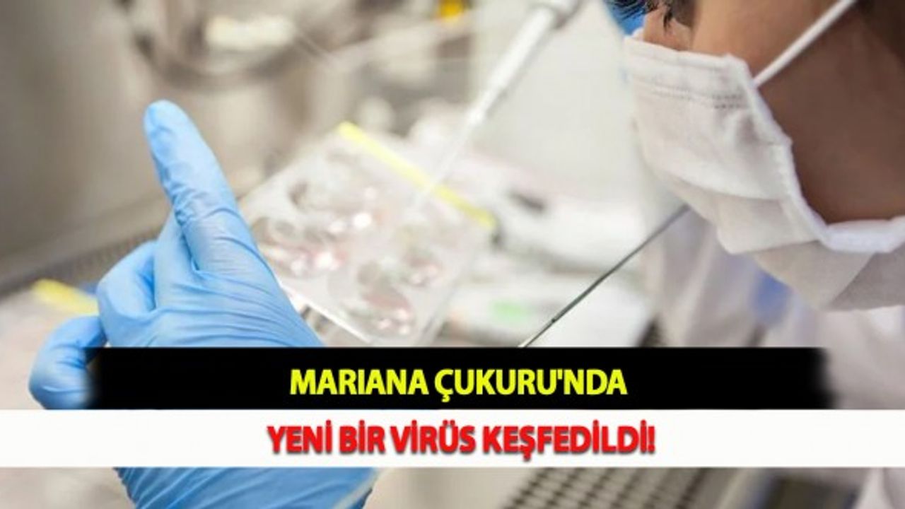 Mariana Çukuru'nda Yeni Bir Virüs Keşfedildi!