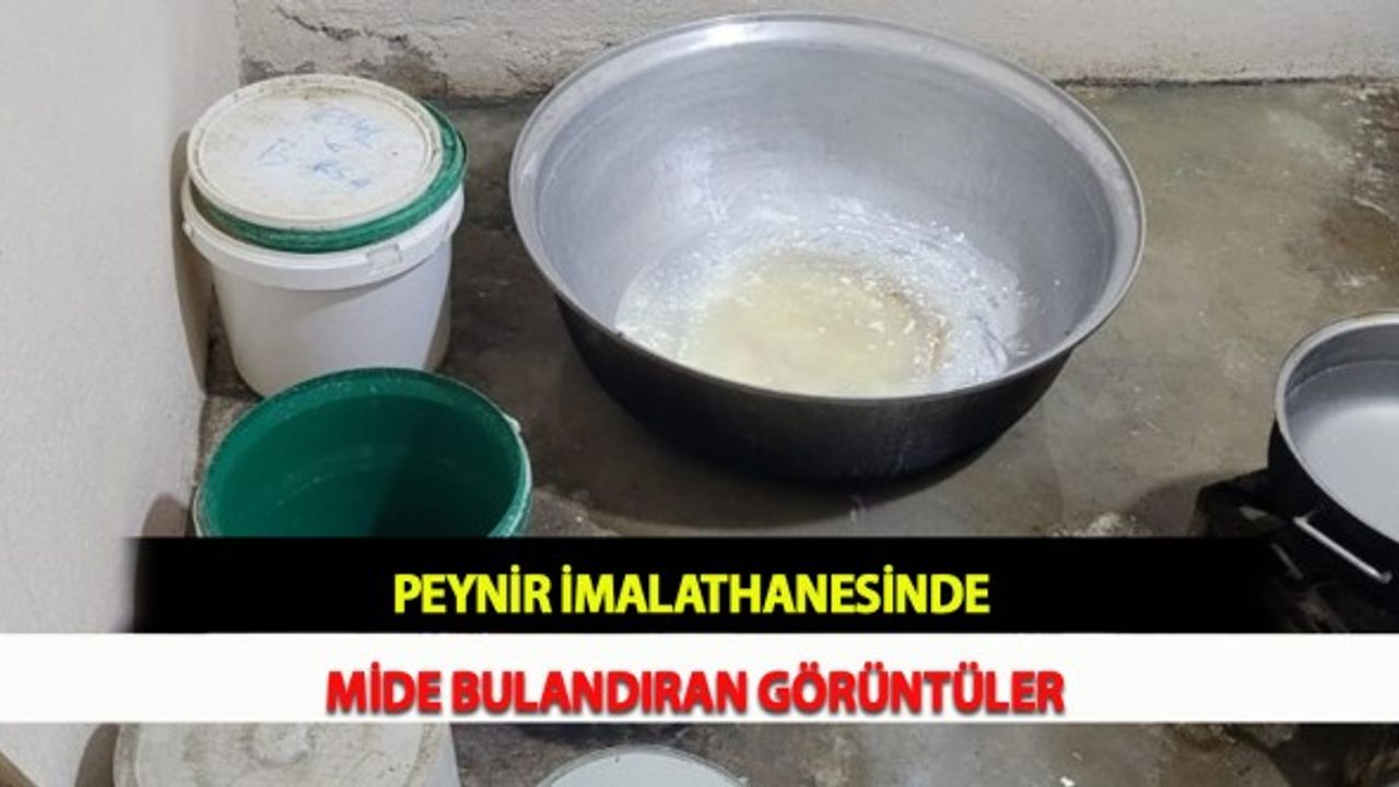 Peynir İmalathanesinde Mide Bulandıran Görüntüler