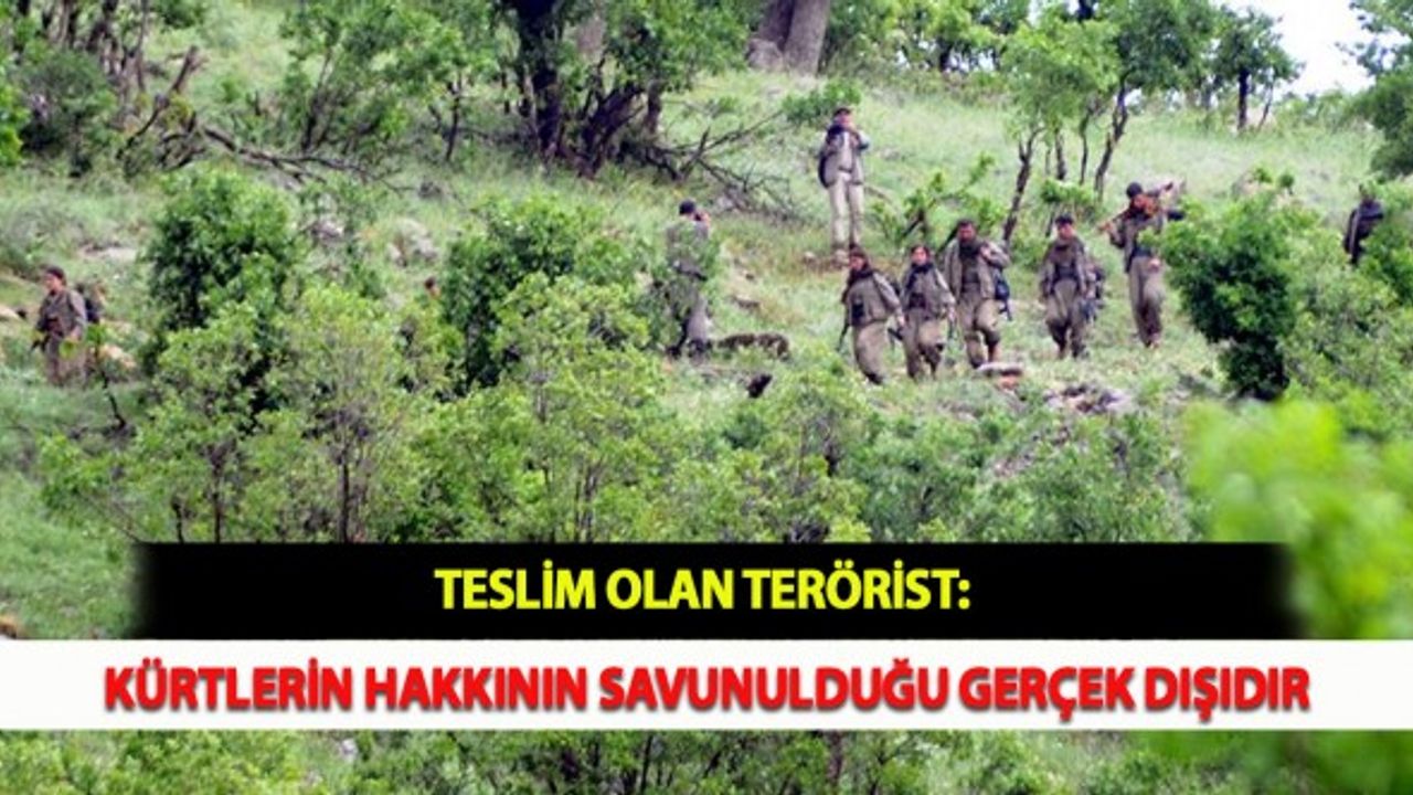 Teslim Olan Terörist: Kürtlerin Hakkının Savunulduğu Gerçek Dışıdır