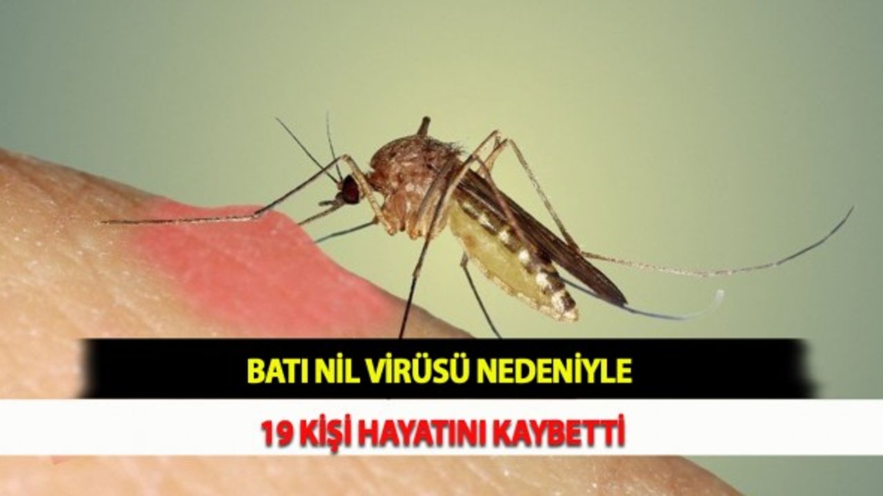 Batı Nil Virüsü Nedeniyle 19 Kişi Hayatını Kaybetti