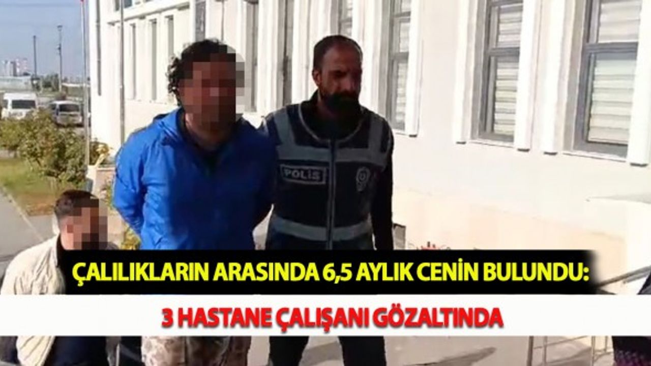 Çalılıkların Arasında 6,5 Aylık Cenin Bulundu: 3 Hastane Çalışanı Gözaltında