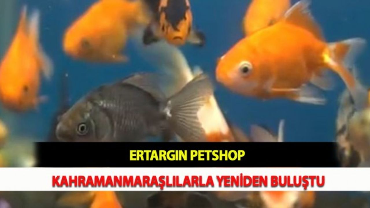 Ertargın Petshop Kahramanmaraşlılarla Yeniden Buluştu