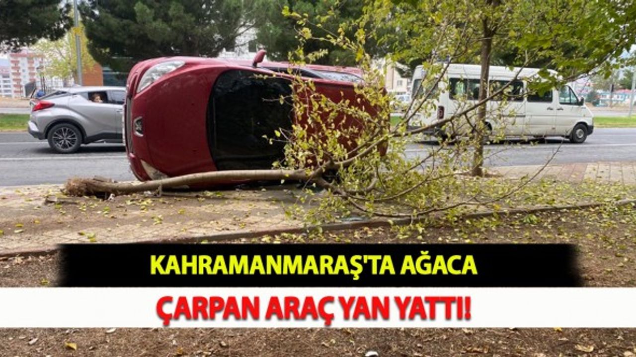 Kahramanmaraş'ta Ağaca Çarpan Araç Yan Yattı